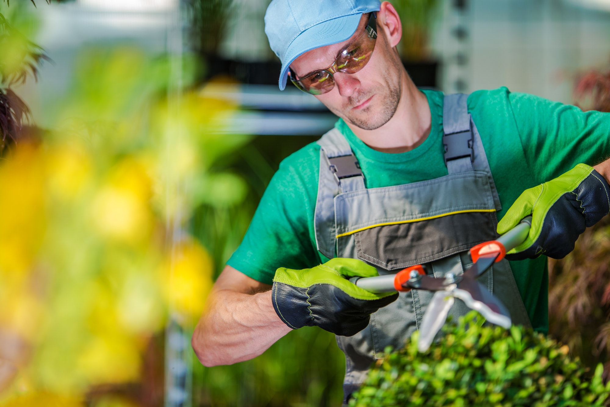 Trimming Garden Plants